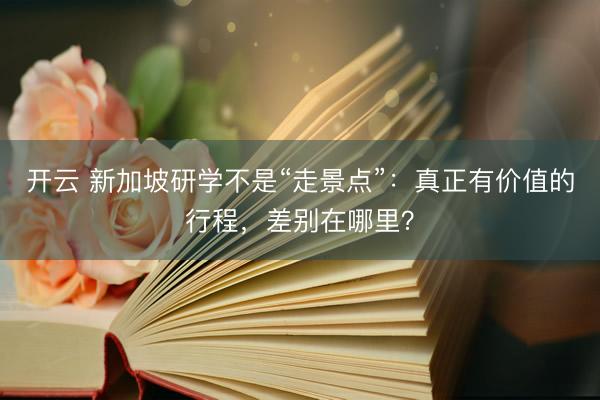 开云 新加坡研学不是“走景点”：真正有价值的行程，差别在哪里？