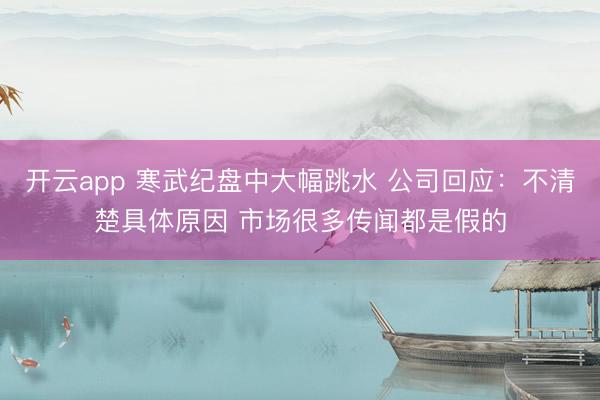 开云app 寒武纪盘中大幅跳水 公司回应：不清楚具体原因 市场很多传闻都是假的