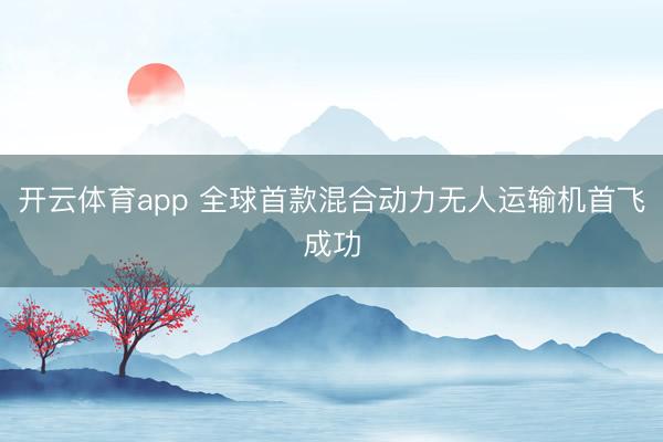 开云体育app 全球首款混合动力无人运输机首飞成功