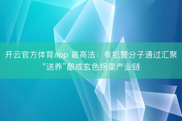 开云官方体育app 最高法：有犯警分子通过汇聚“送养”酿成玄色拐卖产业链
