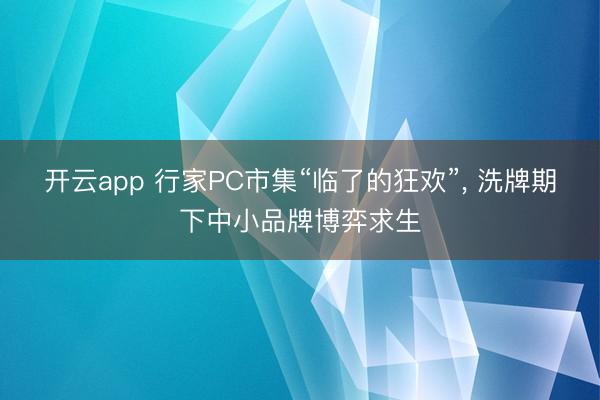 开云app 行家PC市集“临了的狂欢”, 洗牌期下中小品牌博弈求生