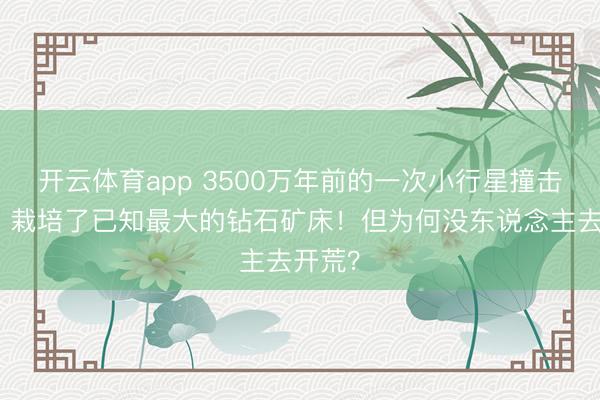 开云体育app 3500万年前的一次小行星撞击地球，栽培了已知最大的钻石矿床！但为何没东说念主去开荒？