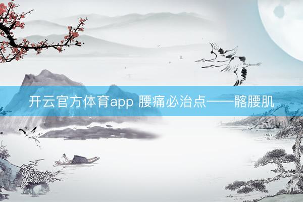 开云官方体育app 腰痛必治点——髂腰肌