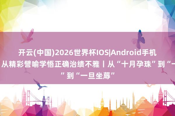 开云(中国)2026世界杯IOS|Android手机app下载 从精彩譬喻学悟正确治绩不雅丨从“十月孕珠”到“一旦坐蓐”