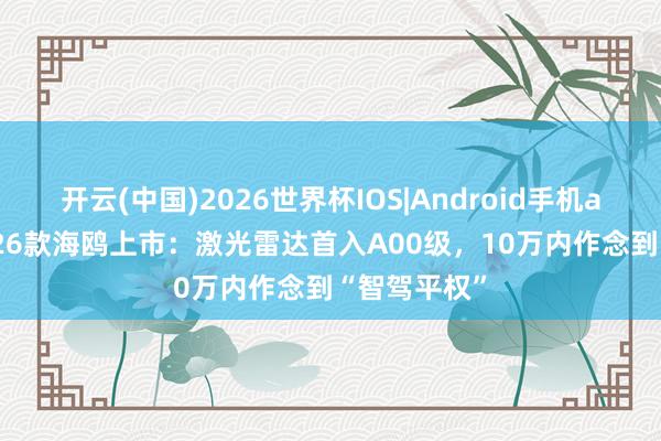 开云(中国)2026世界杯IOS|Android手机app下载 2026款海鸥上市：激光雷达首入A00级，10万内作念到“智驾平权”