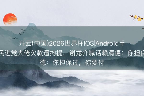 开云(中国)2026世界杯IOS|Android手机app下载 民进党大佬欠款遭拘提,谢龙介喊话赖清德:你担保过,你要付